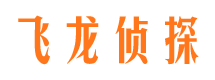 河南市调查公司